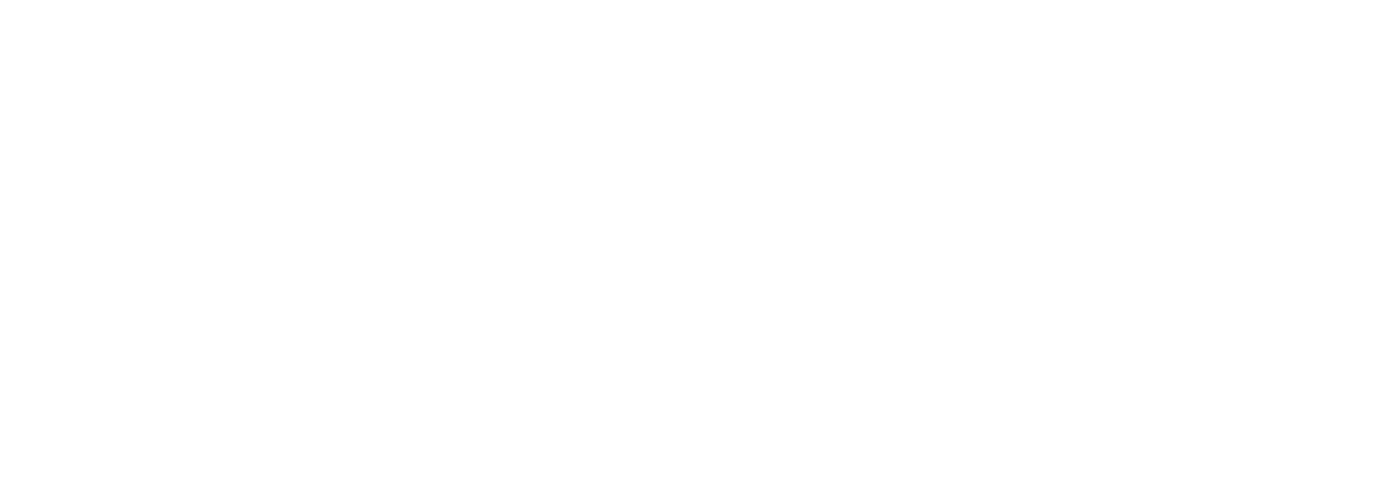Deborah Foundation Logo White
